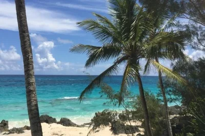 Swim pink sands, explore cooper’s island wildlife, and relax at top bermuda beaches on a private day tour with local guide, chairs, umbrellas, and rum swizzle included.