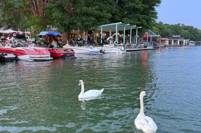 Feel the breeze on a lake austin boat cruise, bring your own drinks, and meet your captain under the 360 bridge. includes shade, cooler, and local guide.