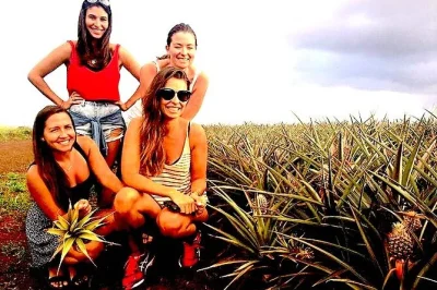 Explore a north shore de oahu, prove café de macadâmia, veja tartarugas e viaje num van confortável com pickup no hotel. mais paradas, histórias locais e sabores autênticos.