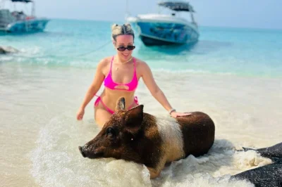 Hop from nassau to rose island for swimming pigs, turtle watching at green cay, reef snorkeling near athol island, plus lunch and drinks—includes all gear.