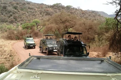 Vivez l’expérience du cratère de ngorongoro et du lac manyara lors d’un safari guidé. observez des lions grimpeurs d’arbres, une faune diversifiée, et passez la nuit à proximité des parcs.