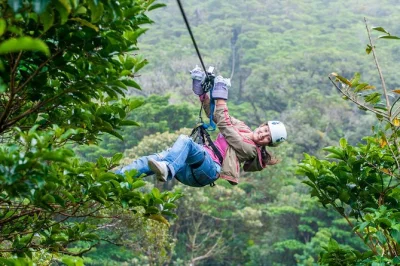 Découvrez la forêt de nuages de monteverde avec une balade guidée sur des ponts suspendus, une montée en tram panoramique et une tyrolienne au-dessus de la canopée. prise en charge à l’hôtel 