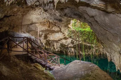 Descubra cenotes zapote ecopark perto de cancún: nade em quatro cenotes, aventure-se na tirolesa pela selva, aproveite um almoço regional e relaxe nas redes à sombra. entrada e almoço inclusos.