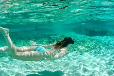 Scopri tulum con mimosas, visita le antiche rovine, nuota in tre cenotes unici, assaggia vera tequila e gusta un pranzo locale, tutto con guida e piccolo gruppo. pickup incluso.