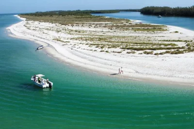 Partez de naples pour une croisière éco de 3 heures vers keewaydin island, entre observation des animaux, ramassage de coquillages et balade sur la plage. eau, parking et sac à coquillages inclus.