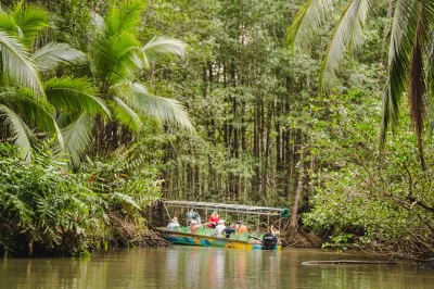 Erlebe die mangroven von costa ricas isla damas per boot, entdecke affen und faultiere, genieße frisches obst und entspanne bei einer barrierefreien tour mit zertifiziertem guide.