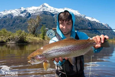 Feel patagonia’s wild rivers on a private fly fishing day trip from bariloche, with expert guides, all gear, riverside barbecue lunch, and hotel pickup included.