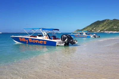 Feel the salt spray on a st maarten day trip—swim with turtles at tintamarre, sip rum punch, and relax on hidden beaches. lunch and cruise port pickup included.