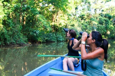 Acorde com o canto dos pássaros, deslize pelos canais de tortuguero, explore a vila e relaxe em uma pousada na floresta. transporte, refeições e passeios guiados inclusos.
