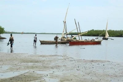 Descubra as ruínas históricas de tongoni e caminhe por uma vila de pescadores viva perto de tanga. conheça os locais, veja antigos túmulos shirazi e aprenda sobre a história costeira.