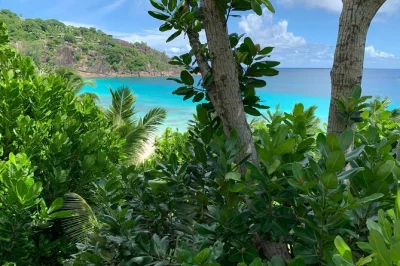 Discover mahé in 1 day: group island tour with local guide, le jardin du roi spice garden, takamaka rum, top beaches, and creole food stops.