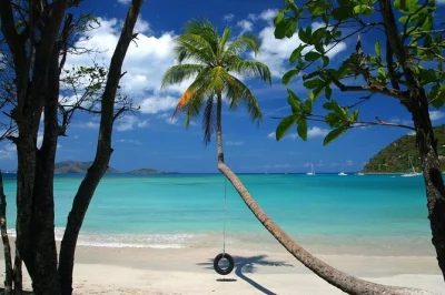 Step aboard a private usvi boat charter for a day of beach hopping, snorkeling lovango cay, and floating with music. includes hotel pickup and snorkel gear.