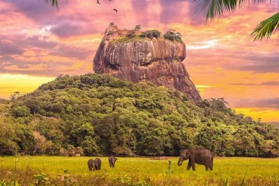 Feel the pulse of sri lanka on a private kandy to sigiriya day trip—explore matale hindu temple, a spice garden, sigiriya rock fortress & dambulla cave temple. includes pickup.