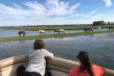 Scopri chincoteague e assateague con un tour in barca, ammira i cavalli selvaggi, il faro dal mare e ascolta le storie di un capitano locale. parcheggio incluso.