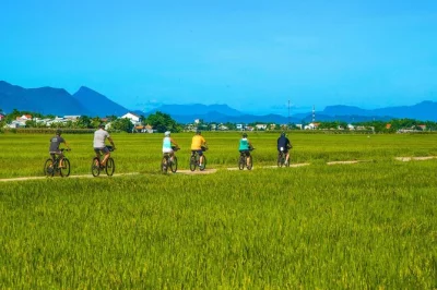 Pédalez de hoi an au sanctuaire de my son en traversant villages paisibles et rizières. vélo, guide local, encas et déjeuner inclus, retour en van facile—réservez vite.