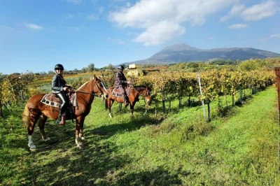 Erlebe einen geführten ausritt auf den vulkanhängen des vesuvs mit traumhaften panoramablicken auf die bucht von sorrent. inklusive transport ab pompei und kompletter ausrüstung.