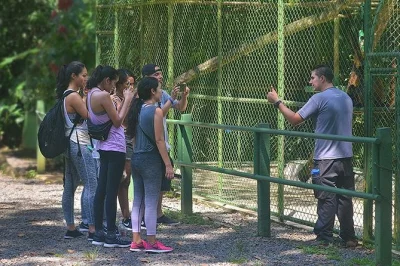 Scopri da vicino gli animali salvati al proyecto asis vicino a la fortuna, costa rica. tour guidato, snack inclusi e accesso facile per tutte le età—prenota ora la tua visita.