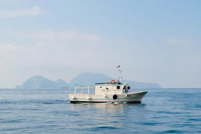 Desde sorrento, disfruta un día de pesca cerca de capri, prueba suerte con cañas locales, nada en aguas cristalinas y comparte un almuerzo casero a bordo—incluye recogida.