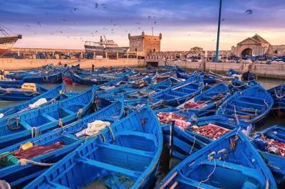 Essaouira, ses ruelles bleues et blanches, l’air marin de l’atlantique, un café fort à chichaoua et la forêt d’argan à découvrir avec guide. prise en charge depuis marrakech incluse.