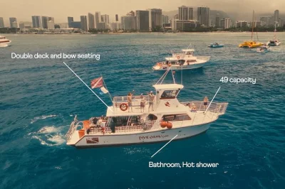 Nada con tortugas verdes en turtle canyon, explora los arrecifes de waikiki, avista delfines o ballenas y relájate en el barco con equipo y snacks incluidos.