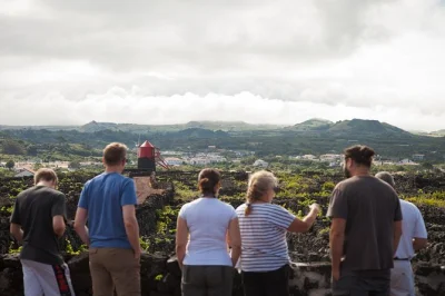 Excursión privada de día completo en la isla de pico desde faial. explora viñedos declarados patrimonio de la unesco, la historia ballenera, piscinas naturales y visita una plantación local de pl