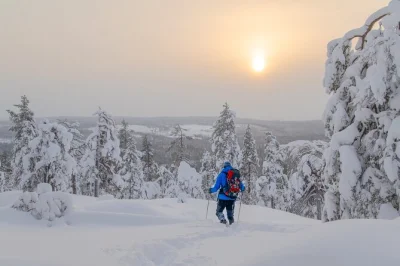 Wake up to frozen forests, trek snowy fells, and unwind in wild saunas on a 4-day lapland snowshoe adventure—includes all gear, local guide, and cozy hut stays.