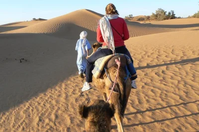 Scopri il silenzio delle dune di erg chigaga, cammina con i dromedari, gusta un pranzo nomade sotto gli alberi di tamarindo e dormi in un campo nel sahara—con pick-up e pasti inclusi.