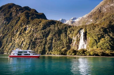 Découvrez la beauté sauvage de milford sound en bus à toit vitré depuis te anau, baladez-vous aux mirror lakes, goûtez l'eau pure de monkey creek et profitez d'une croisière guidée.