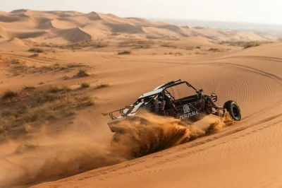 Feel the rush of a dune buggy ride in mleiha desert, wander fossil rock with a local guide, sandboard golden dunes, and savor a three-course emirati dinner—pickup included.