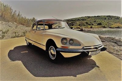 Private dubrovnik tour in a 1973 classic car. visit trsteno arboretum, river ombla, and top viewpoints with a local guide. tasting included.
