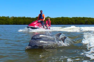 Découvrez marco island et ses 10 000 îles en jet ski, entre mangroves, dauphins et faune sauvage. matériel complet, eau en bouteille et coupe-vent inclus.