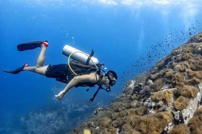 Scopri bali con un istruttore ssi, impara le basi delle immersioni e immergiti fino a 12 metri con tutta l’attrezzatura inclusa. piccoli gruppi, pausa caffè o tè e seconda immersione opzionale.