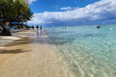 Feel the warmth of roatan with monkeys, sloths, a chocolate tasting, rum cake, and time on west bay beach. includes pickup and local guide for a relaxed day.