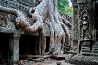 Siem reap: erlebe den sonnenaufgang am angkor wat, entdecke die geheimnisvollen gesichter des bayon, schlendere durch die wurzeln von ta prohm und besuche lokale dörfer – private tour mit abholung 