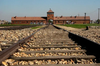 Scopri la storia di auschwitz-birkenau e immergiti nel mondo unico della miniera di sale di wieliczka, tutto in un giorno con partenza da krakow e trasferimento dall’hotel incluso.