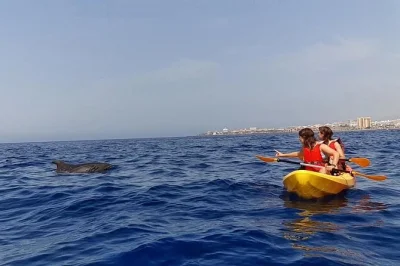 Vivi la brezza marina in kayak da los cristianos alle scogliere di guaza, osserva delfini e tartarughe, fai snorkeling in una riserva marina e rilassati con guide locali. tutta l’attrezzatura inclus