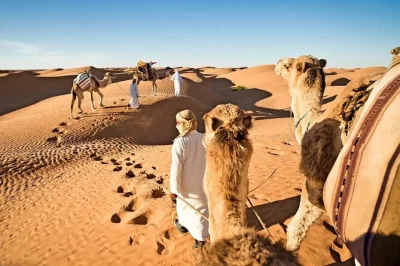 Feel the thrill of dubai’s red dunes on a private desert safari with dune bashing, camel ride, sandboarding, and a gourmet bbq dinner under the stars. includes hotel pickup.