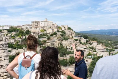Scopri la provenza con degustazioni di vini a châteauneuf du pape, passeggiate a roussillon e un rilassante tour nel luberon con guida e trasporto inclusi.