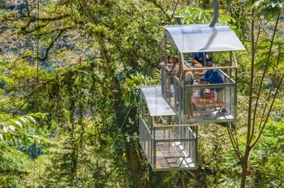 Entdecke costa ricas veragua regenwald, fahre mit der seilbahn und erkunde die tortuguero kanäle. tierwelt, geführte wanderungen und lokale kultur in einem ausflug.