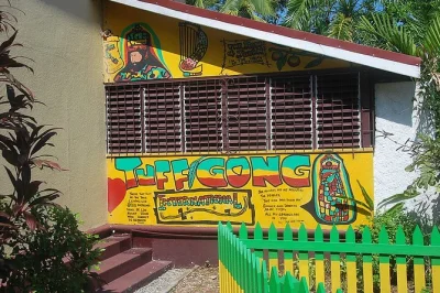 Scopri il cuore del reggae con un tour da montego bay a kingston: visita al museo bob marley, gelato artigianale a devon house e pranzo tipico incluso con pick-up.