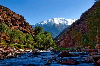 Let the atlas mountains and ourika valley surprise you—wander berber villages, hear river sounds, and enjoy a flexible day trip from marrakech with pickup included.