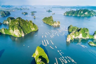 Float past halong bay’s iconic rocks, kayak quiet lagoons, explore surprise cave, and enjoy a vietnamese lunch on board. includes hanoi pickup and transfers.