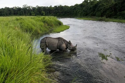 Feel the wild side of chitwan with a 3-day safari—canoe ride, tharu village visit, jeep tour for rhinos & tigers, plus pickup and all meals included.