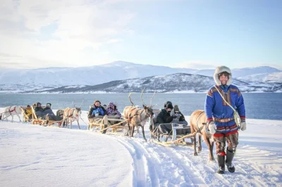 Feel the crunch of snow on a reindeer sled, feed a huge herd, and share sami stories by firelight near tromso. includes pickup, lunch, and local guide.