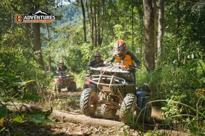 Siente la emoción de recorrer en quad los senderos selváticos de chiang mai, con todo el equipo, recogida en hotel y almuerzo local incluido. ideal para principiantes y aventureros.