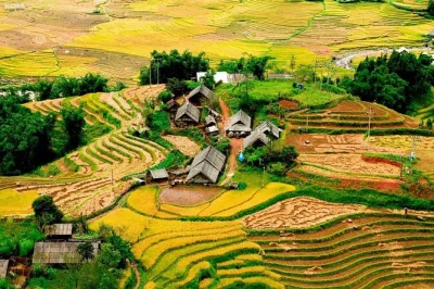 Wake up in a h’mong home, trek sapa’s terrace fields, cook with locals, and ride the sleeper bus from hanoi. includes meals, pickup, and a real village stay.