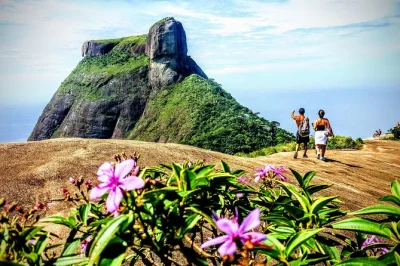 Découvrez le côté sauvage de rio lors d’une randonnée guidée dans la forêt de tijuca jusqu’à pedra bonita, avec vue à 360°, rencontres avec la faune et prise en charge incluse pour une r