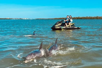 Découvrez les ten thousand islands de marco island en jet ski avec un guide local, observez la faune, profitez des brises marines et suivez un briefing sécurité complet.