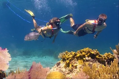 Feel the thrill of snuba diving at coral world ocean park in st thomas, guided by local experts. entry included, with all gear and a 30-minute underwater tour.