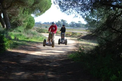 Watch flamingos & rare birds in ria formosa near faro, gliding by segway with a local guide. binoculars, helmet, & hotel pickup included for easy booking.